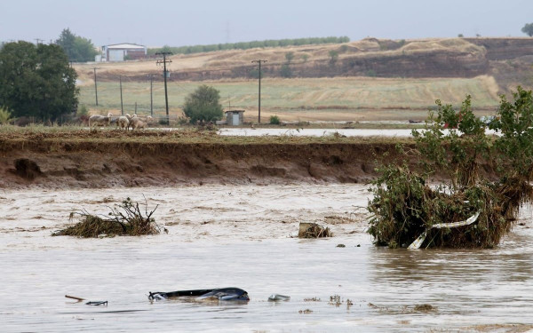 Αυγενάκης για Θεσσαλία: Τον Οκτώβριο οι προκαταβολές στους πληγέντες με ζωικό κεφάλαιο - Διαχειρίσιμη η εικόνα στην περιοχή  (βίντεο)