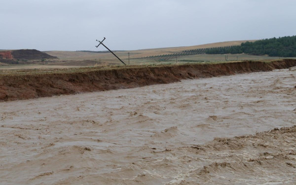 Λάρισα: Μεταφέρονται ζώα από τις πλημμυρισμένες περιοχές στο δημοτικό καταφύγιο (βίντεο)