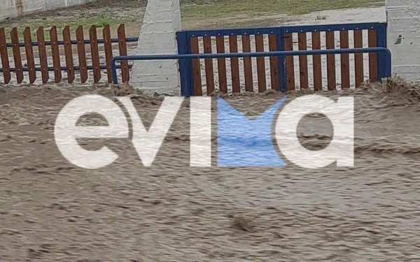 Κακοκαιρία «Daniel»: Δύσκολες ώρες για τις Ροβιές στην Εύβοια - Φούσκωσε χείμαρρος και πλημμύρισαν σπίτια (βίντεο)