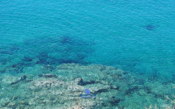 Χαλκιδική: Προσωρινή απαγόρευση κολύμβησης σε γνωστή παραλία της Νικήτης