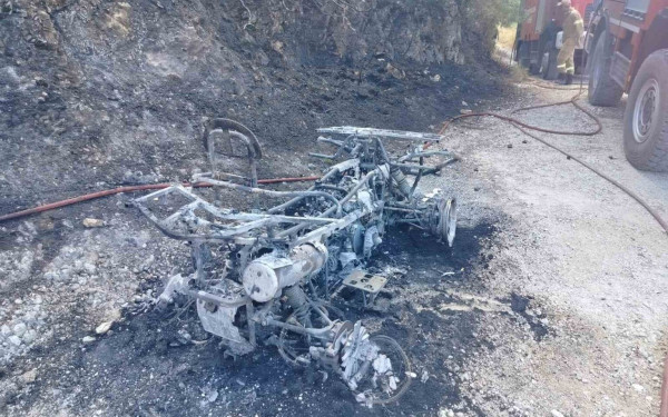 Ζάκυνθος: Φωτιά σε δασική έκταση – Προκλήθηκε από «γουρούνα» που τυλίχθηκε στις φλόγες