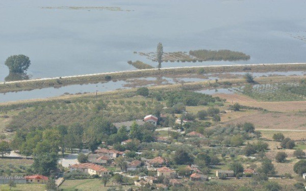 Περισσότερες από 14.200 αυτοψίες σε Θεσσαλία και Στερεά Ελλάδα