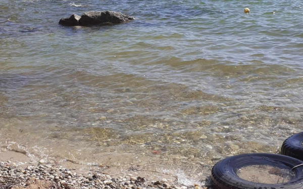 Φερτά υλικά στη Χαλκιδική από τον Πηνειό: Πόσο πρέπει να μας ανησυχούν; (βίντεο)