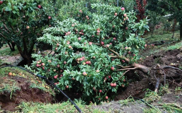 Θεσσαλία - Αγροτές: Μηχανήματα, αποζημειώσεις και οδοποιία αλλιώς τίθεται ζήτημα επιβίωσης