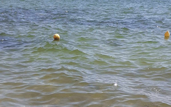 Μέχρι τις ακτές της Χαλκιδικής έφτασαν οι φερτές ύλες από τον πλημμυρισμένο Πηνειό - Δείτε φωτογραφίες 