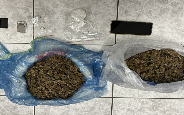 Αλεξανδρούπολη: Επιχείρηση για τον εντοπισμό ναρκωτικών ουσιών με τη συνδρομή αστυνομικού σκύλου