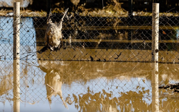 Πλημμύρες στη Θεσσαλία: Αύριο οι προκαταβολές αποζημιώσεων για το ζωικό κεφάλαιο - Την Παρασκευή για τη φυτική παραγωγή