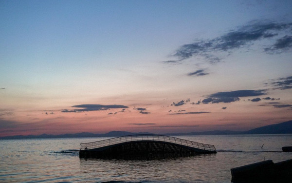 Καθησυχαστικά τα ευρήματα για την ποιότητα νερών και ψαριών στον Παγασητικό κόλπο (φωτ.)