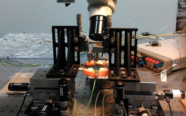 Η φωτονική επιστήμη γίνεται παιχνίδι 