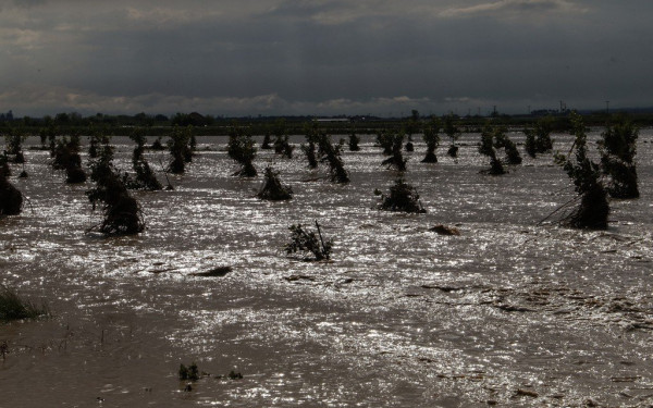 Λάρισα: Μεγάλα προβλήματα στις πλημμυρισμένες περιοχές του νομού