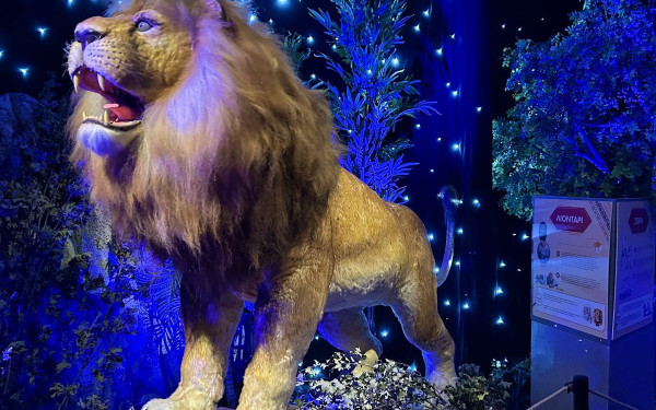 Ο θαυμαστός κόσμος των ζώων, που κυκλοφορούν ...ελεύθερα στο θεματικό πάρκο «Εcο Ζοο» στο ΝΟΗΣΙΣ 