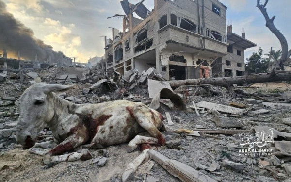 Πόλεμος στο Ισραήλ: Μαζική έξοδος των Παλαιστινίων από τη Γάζα - Δείτε βίντεο