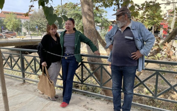 Βόλος: Κάτοικοι αλυσοδέθηκαν σε δέντρα για να μη τα κόψουν - Δείτε φωτογραφίες