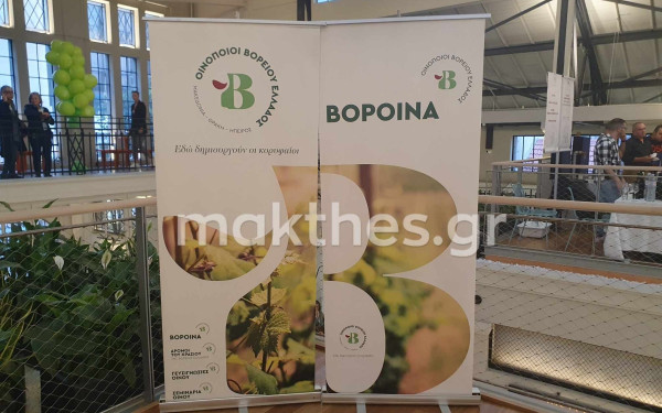 Αγορά Μοδιάνο: Στα ΒορΟινά του Φθινοπώρου, 30 οινοποιεία στην ανοικτή γιορτή του κρασιού (φωτ.)