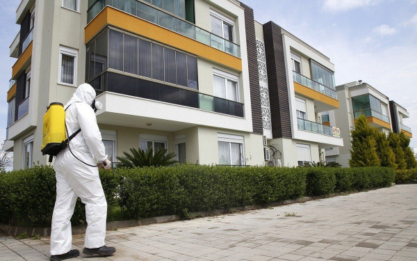 Αυξημένα κρούσματα εμφάνισης κοριών και στη Θεσσαλονίκη