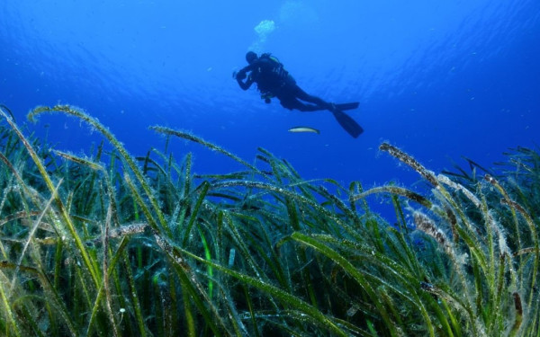 Χαλκιδική: Μπουκάλια αλκοόλ και αποτσίγαρα «ψαρεύουν» εθελοντές σε παράκτιους και υποβρύχιους καθαρισμούς