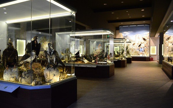 Αυτό είναι ίσως το πιο πολυβραβευμένο μουσείο της Ελλάδας