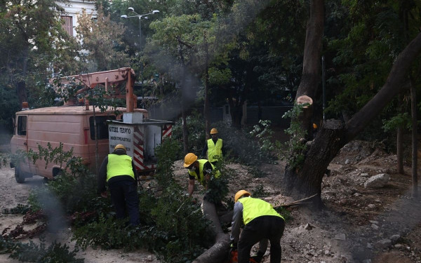 Νέα ένταση στα Εξάρχεια με πολίτες για την κοπή των δέντρων - Τέσσερις προσαγωγές (βίντεο)