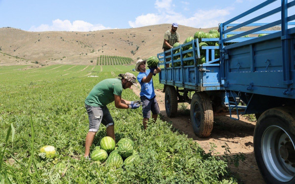 Ν. Παναγιωτόπουλος: Άδεια διαμονής να σημαίνει αυτομάτως και έκδοση ΑΜΚΑ
