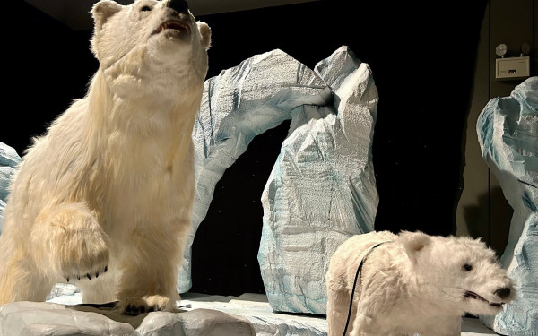 Το Θεματικό Πάρκο Eco Zoo εξελίσσεται σε κορυφαίο χώρο οικογενειακής ψυχαγωγίας και εκπαίδευσης στην Ελλάδα (βίντεο, φωτ.)