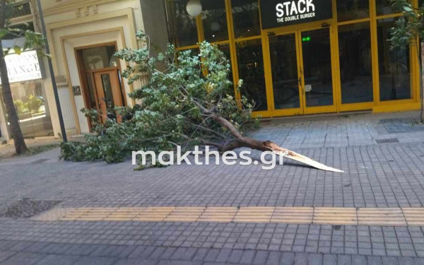 Έπεσαν δέντρα το πρωί από τους ισχυρούς ανέμους στη Θεσσαλονίκη
