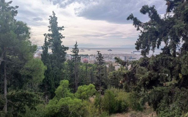 Συνεχίζεται η απαγόρευση κυκλοφορίας στον κεντρικό δασικό ασφαλτοστρωμένο δρόμο του Περιαστικού Δάσους Θεσσαλονίκης