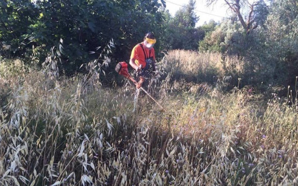 Θεσσαλονίκη: Πάνω από 620.000 δηλώσεις για καθαρισμούς οικοπέδων υποβλήθηκαν μέχρι χθες στην ειδική πλατφόρμα