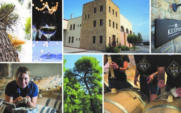 Οινοποιείο Κεχρής: Συνεχίζει την παράδοση στην καινοτομία και την παραγωγή ποιοτικής ρετσίνας