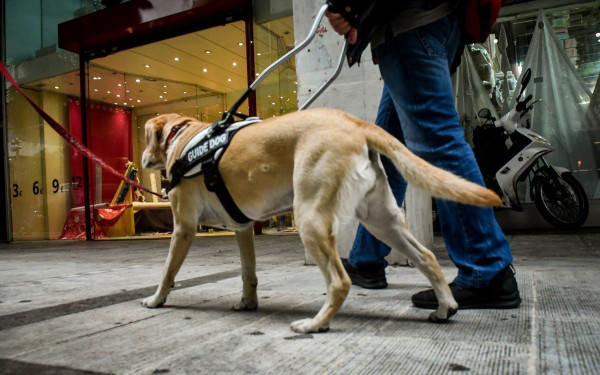 Θεσσαλονίκη: Καταγγελία για την απόλυση τεσσάρων εκπαιδευτικών με οπτική αναπηρία