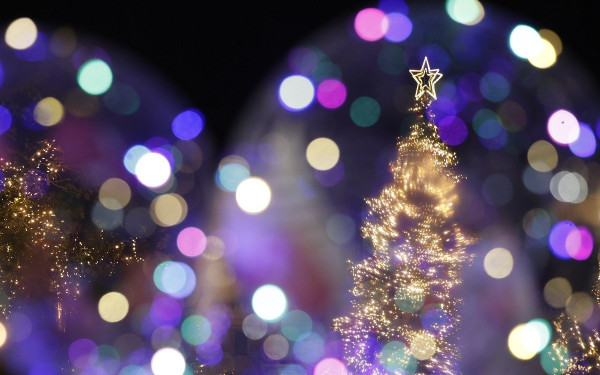 Αγγέλων Έλευσις 2024: Φωταγώγηση χριστουγεννιάτικων δέντρων Ωραιοκάστρου με δράσεις για τα παιδιά