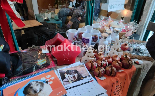 Θεσσαλονίκη: Μια αγκαλιά για τους αδέσποτους φίλους μας (φωτ.)
