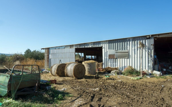 ΑΑΔΕ: Αυτόματα και βάσει τιμολογίων η επιστροφή ΕΦΚ πετρελαίου στους αγρότες για το 2025