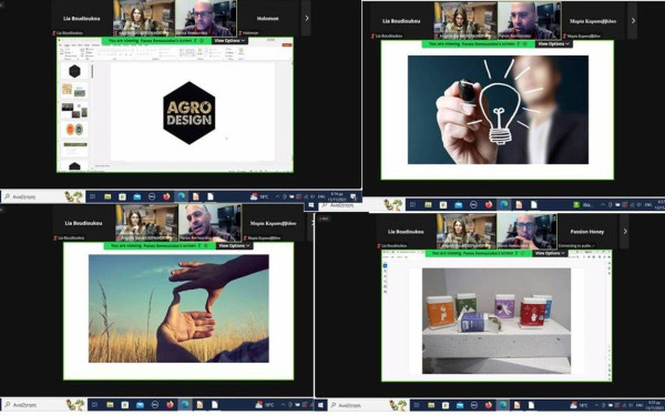 Eπιμελητήριο Χαλκιδικής: Oλοκληρώθηκαν πέντε διαδικτυακά σεμινάρια 