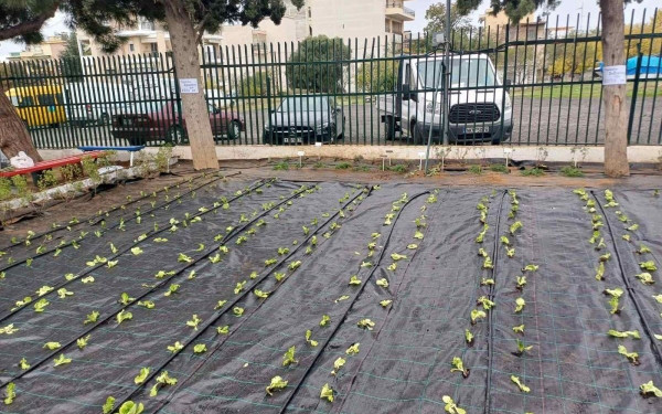 Θεσσαλονίκη: Ένας μοναδικός αρωματολαχανόκηπος στο 4ο δημοτικό σχολείο Πυλαίας (φωτ.)