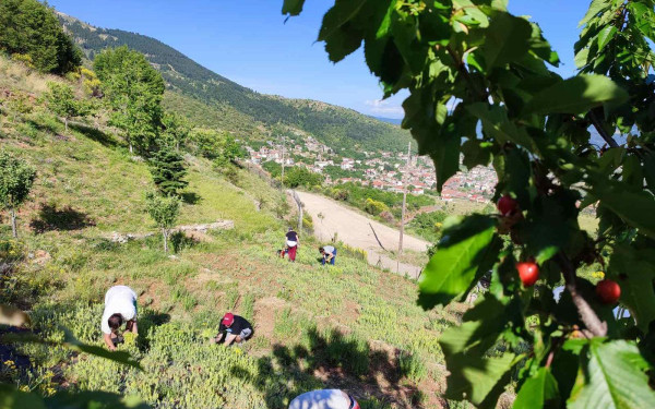 Θεσσαλονίκη: Τι γυρεύει μια αλεπού στο παζάρι; Πώς η «Λούπυ» στηρίζει την ορεινή οικονομία (φωτ.)