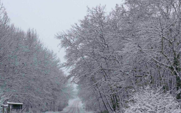 Νυμφαίο: Μαγικές εικόνες από την επέλαση του χιονιά - Πού χρειάζονται αλυσίδες (βίντεο και φωτ.)