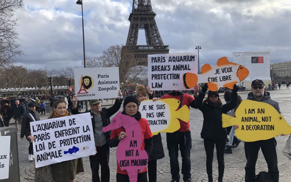 Πολίτες διαδήλωσαν έξω από ενυδρείο που ετοιμάζει ρεβεγιόν Πρωτοχρονιάς (βίντεο & φωτ.)