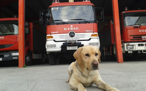 Πύργος: Ψάχνουν για 13η μέρα τον 45χρονο οδηγό του αυτοκινήτου που παρασύρθηκε από νερά χειμάρρου