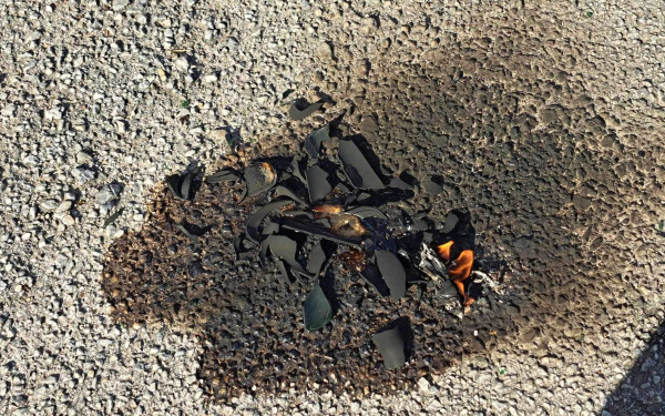 Θεσσαλονίκη: Επεισόδια με μολότοφ έξω από το ΑΠΘ (φωτ.)