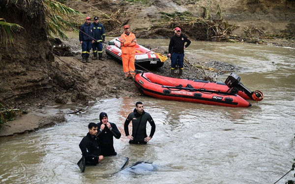 Ηλεία: Συνεχίζονται για 4η ημέρα οι έρευνες για τον οδηγό που παρασύρθηκε από χείμαρρο - Πού εστιάζονται οι έρευνες (βίντεο)