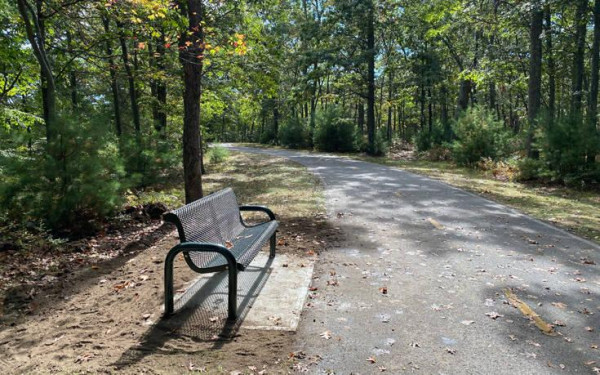 Ένα νέο δάσος - πάρκο με 300.000 δένδρα «γεννιέται» στη Δυτική Θεσσαλονίκη - Πού θα γίνει