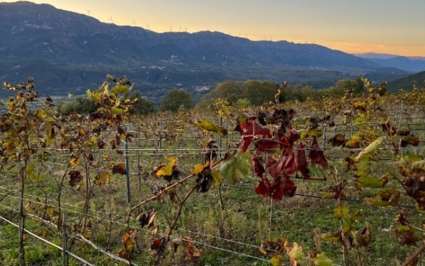 Μυτιλήνη: Πρότυπο παραγωγικό αγροτικό οικοσύστημα πολυετών καλλιεργειών