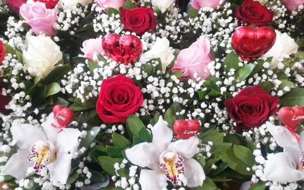 Θεσσαλονίκη: Περισσότερα από 300 χιλιάδες τριαντάφυλλα φέτος για την ημέρα των ερωτευμένων