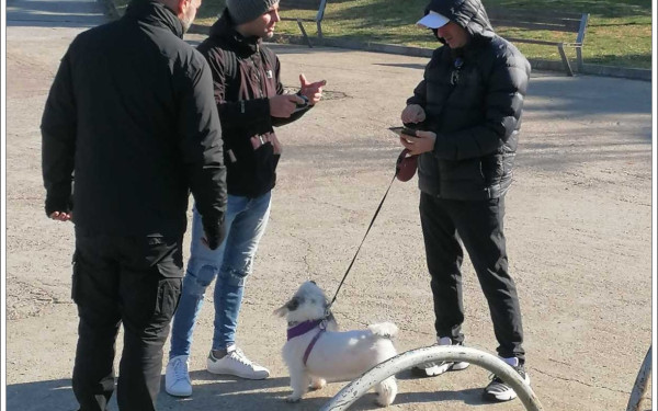 Θεσσαλονίκη: 85 πρόστιμα σε ιδιοκτήτες ζώων συντροφιάς