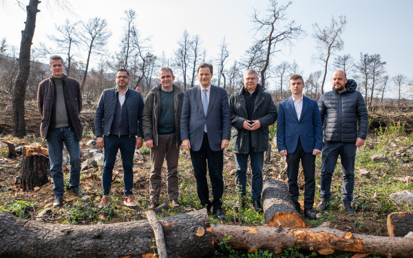 HELLENiQ ENERGY: Αντιδιαβρωτικά έργα σε καμένες εκτάσεις 6,2 χλδ. στρεμμάτων στη Δυτική Αττική