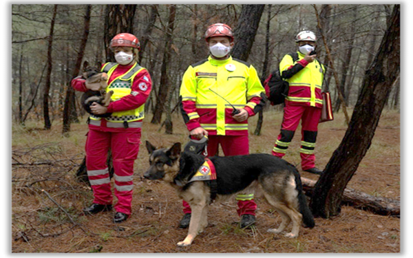 Θεσσαλονίκη: Εκατοντάδες ιδιοκτήτες ζώων συντροφιάς στη λίστα αναμονής για τα εκπαιδευτικά σεμινάρια Πρώτων Βοηθειών Κατοικίδιων