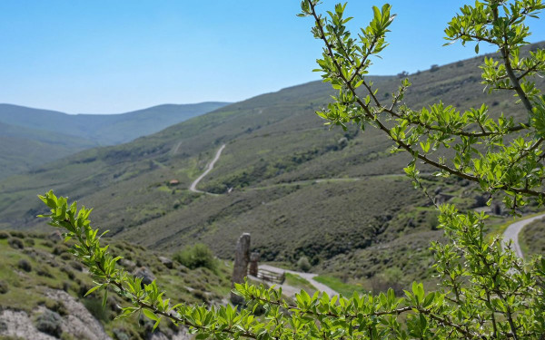 Τα «βλέμματα» στη Λέσβο για το διεθνές σχολείο Γεωπάρκων