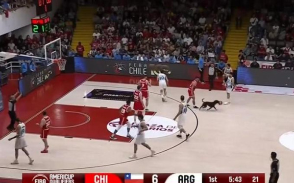 Μπάσκετ: Ματς στην Αμερική διεκόπη εξαιτίας της εισβολής… σκύλου (βίντεο)