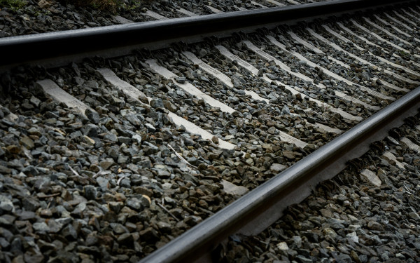 Ακινητοποιημένη αμαξοστοιχία λόγω πτώσης δέντρου κοντά στο Διακοπτό