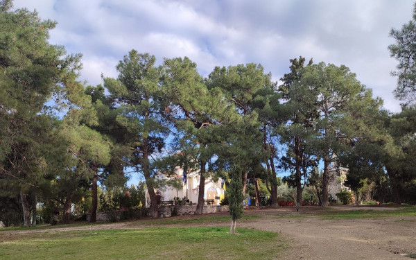 Καλαμαριά: «ΑγκαλιάΖουμε το Κόδρα, Ένα πάρκο μέχρι τη θάλασσα» - Το πρόγραμμα των εκδηλώσεων